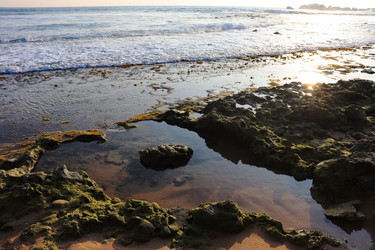 Similar image 21011689