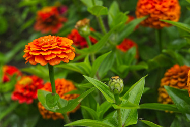 Similar image 21013771