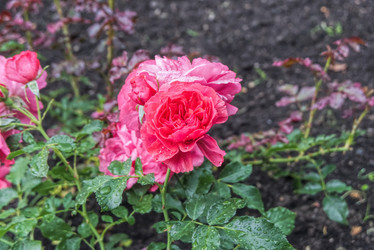 Similar image 21013773