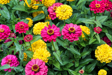 Similar image 21013774