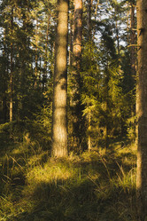 Similar image 21011698