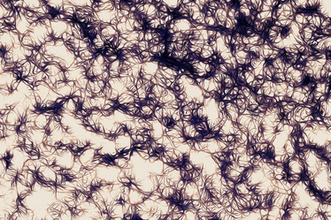 Similar image 21011699