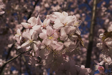 Similar image 21011702