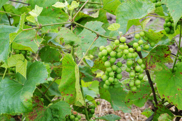 Similar image 21016520