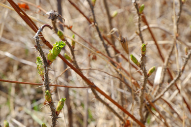 Similar image 21016521