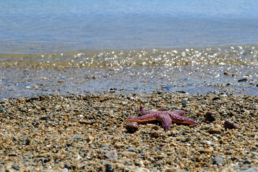 Similar image 21016523