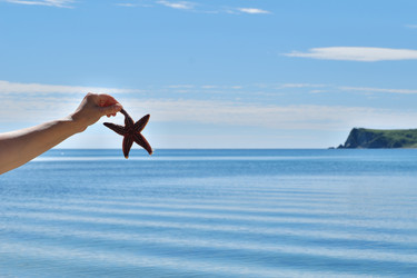 Similar image 21016524