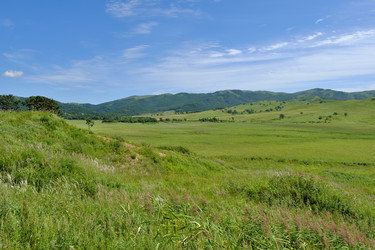 Similar image 21016528