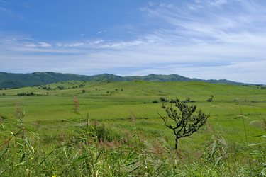 Similar image 21016530