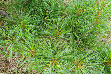 Similar image 21016531