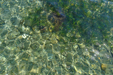 Similar image 21016532