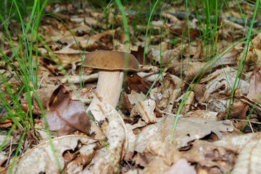 Similar image 21016533