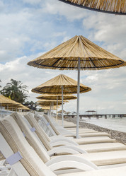 Similar image 21016679