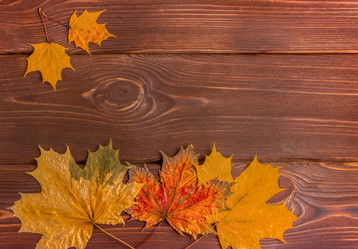 Similar image 21016692