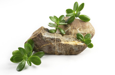 Similar image 21016695