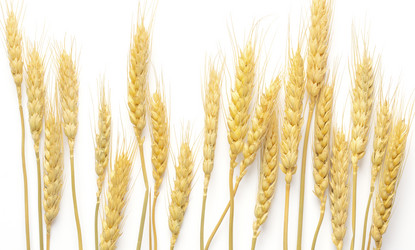 Similar image 21016759