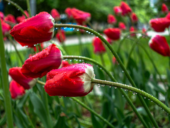 Similar image 21013629