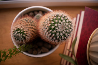 Similar image 21018981