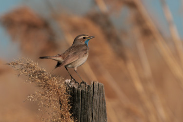 Similar image 21012291