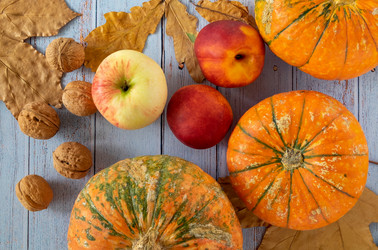 Similar image 21019050