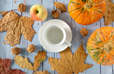 Similar image 21019054