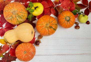 Similar image 21019059