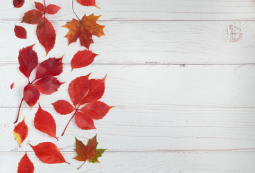 Similar image 21019061