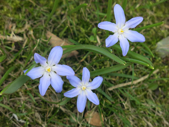 Similar image 21016433