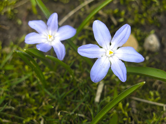 Similar image 21016434