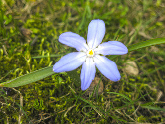 Similar image 21016435