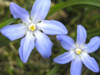 Similar image 21016436