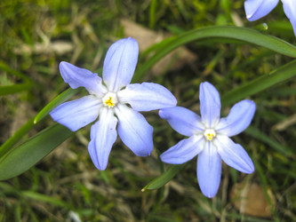 Similar image 21016437