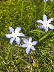 Similar image 21016439