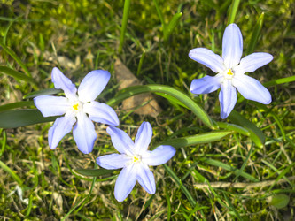 Similar image 21016536