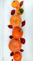 Similar image 21019115