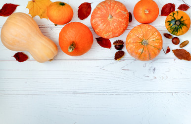 Similar image 21019116