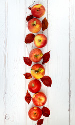 Similar image 21019118