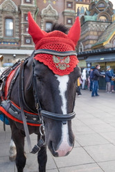 Similar image 21018455