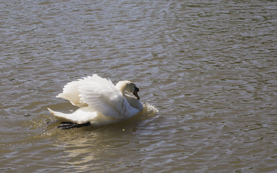 Similar image 21016652