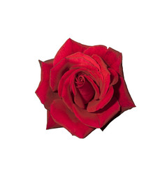 Similar image 21016657