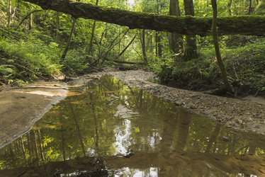 Similar image 21016658