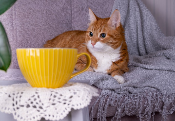 Similar image 21019124