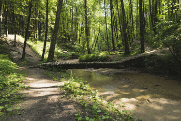 Similar image 21016660