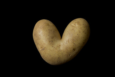 Similar image 21016663