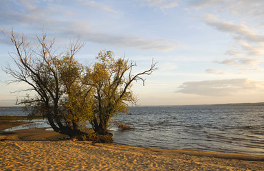 Similar image 21016665