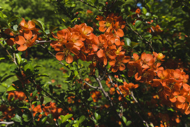 Similar image 21016668