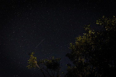 Similar image 21018533