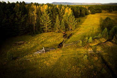 Similar image 21018540