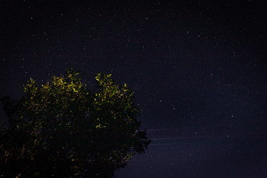 Similar image 21018636