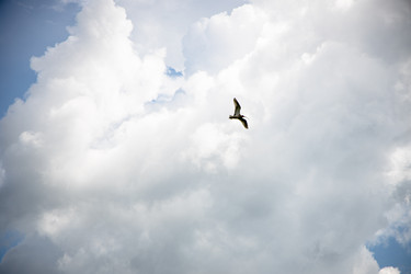 Similar image 21018647